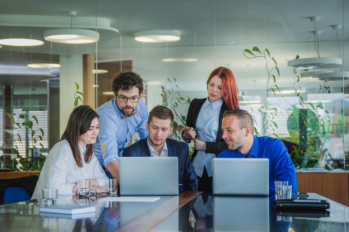 InfoQio Digital expert team providing web development and AI solutions in Palakkad, Kerala